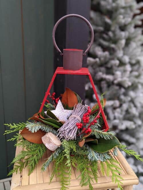 The Watering Can | A winter festive arrangement in a red lantern.