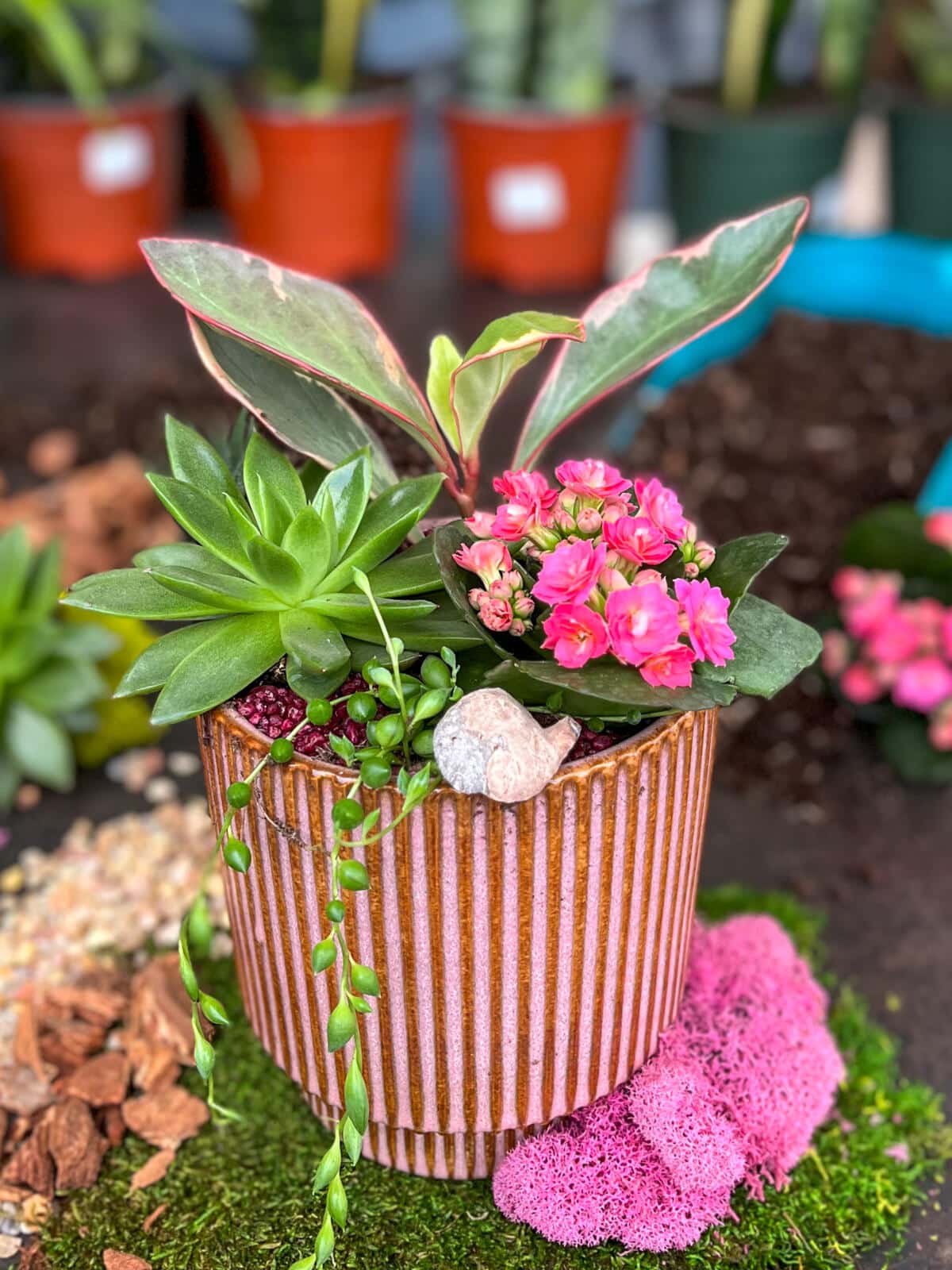 Do It Yourself Kits The Watering Can Flower Market