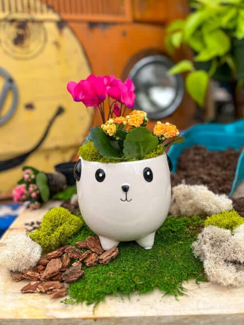 The Watering Can | This kit features a dog shaped pot and comes with a cyclamen and kalanchoe plant as well as some moss.