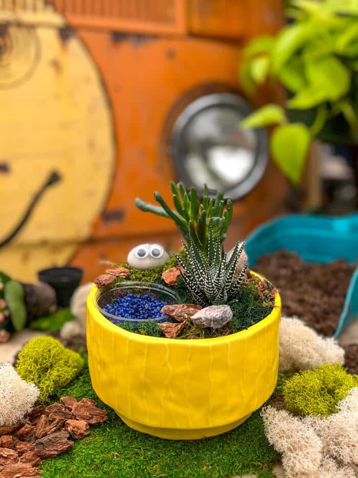 The Watering Can | This kit features your own pet rock that is surrrounded by succulents, moss and its own personal wading pool.
