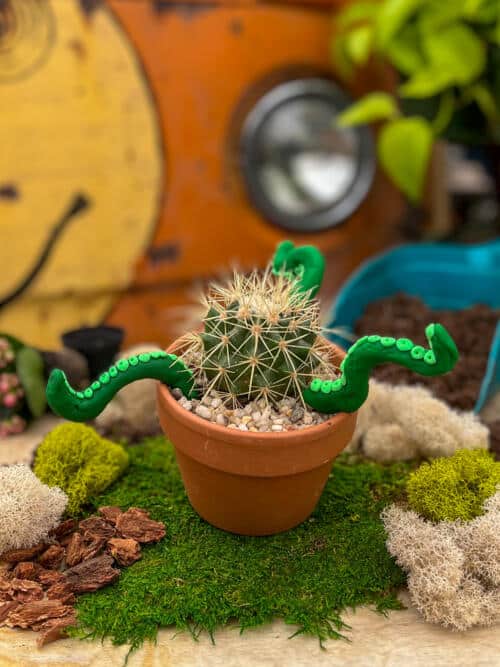 The Watering Can | This kit features a barrel cactus that is surrounded by 3 tentacles that you will design out of modelling dough.
