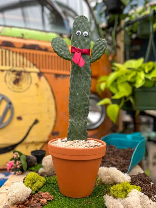 The Watering Can | This diy kit features a cowboy cactus that you will pot up in clay pot and personalize with googly eyes and neck tie.