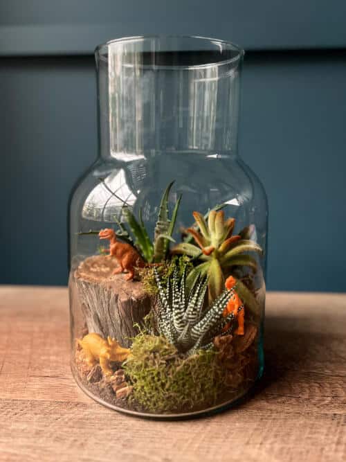 The Watering Can | This kit comes in a glass vase and you will fill it with succulents, mosses, bark and dinosaurs!