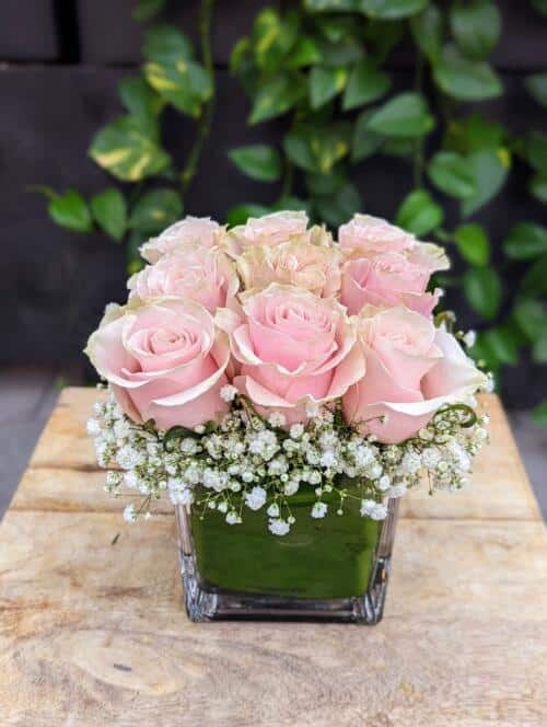 The Watering Can| Nine pink roses surrounded by a cloud of baby's breath in a square glass vase.
