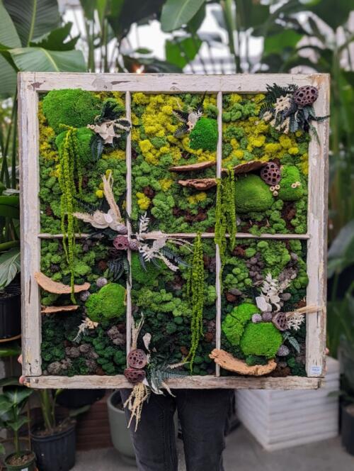 The Watering Can | A large moss frame in greens with bract mushrooms, and other natural deco in a weathered white window pane frame.