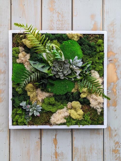 Layers of green mosses with tufts of beige featuring dried succulents and fern leaves in a white frame.