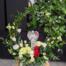 Grey round ceramic container with a wreath of italian ruscus. Sprouting white spray roses, white star of Bethlehem and white lisanthus. a pop of red roses, and draping coin eucalyptus.