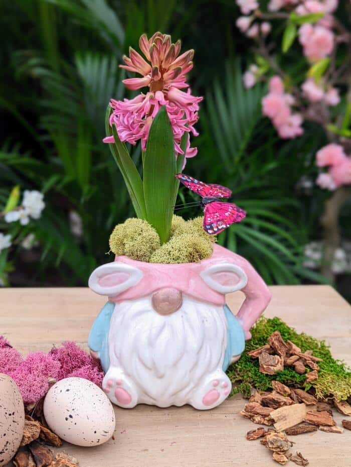The Watering Can | This kit comes in an easter bunny gnome shaped mug and you will plant it with a hyacinth and decorate it with moss.
