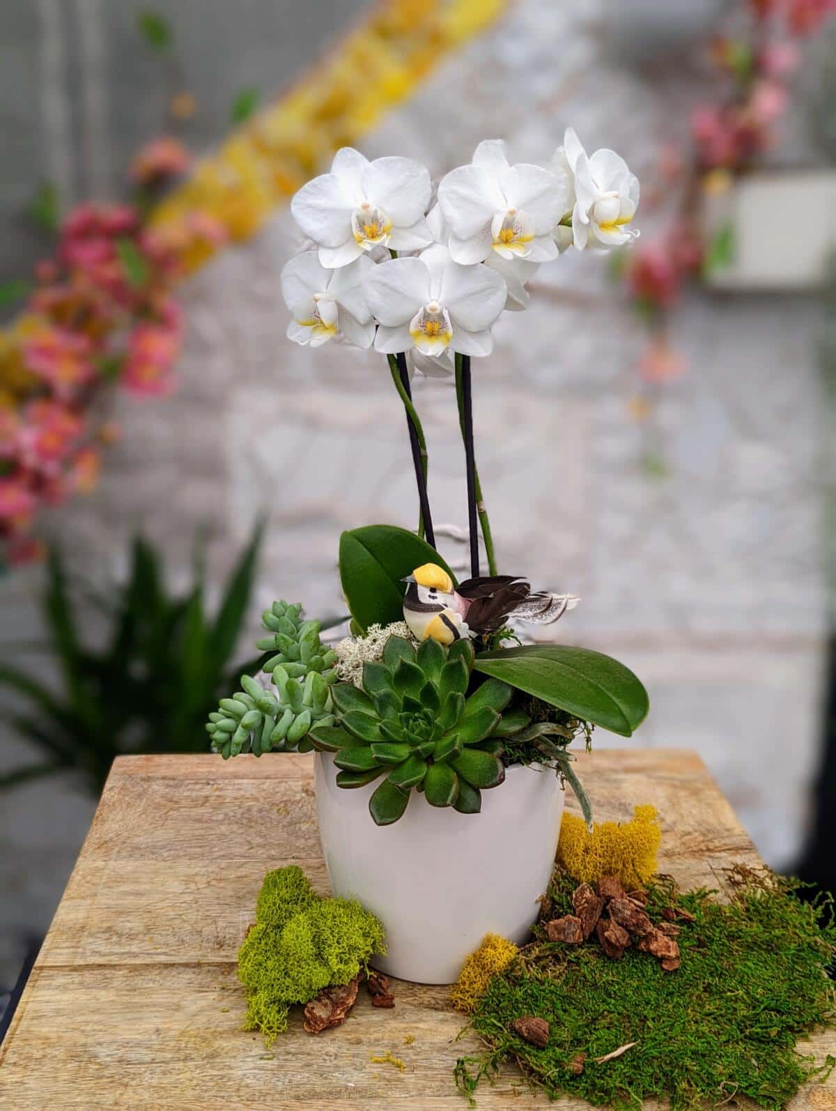 Do It Yourself Kits The Watering Can Flower Market