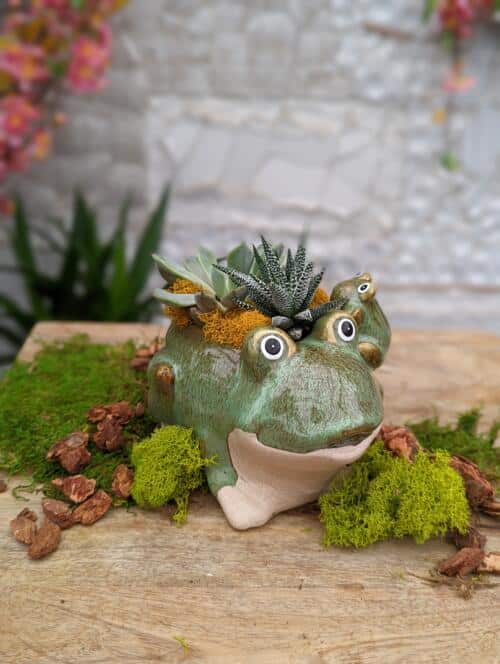 The Watering Can | This kit features a ceramic shaped like a frog and its baby and comes with 2 succulents, soil and moss.