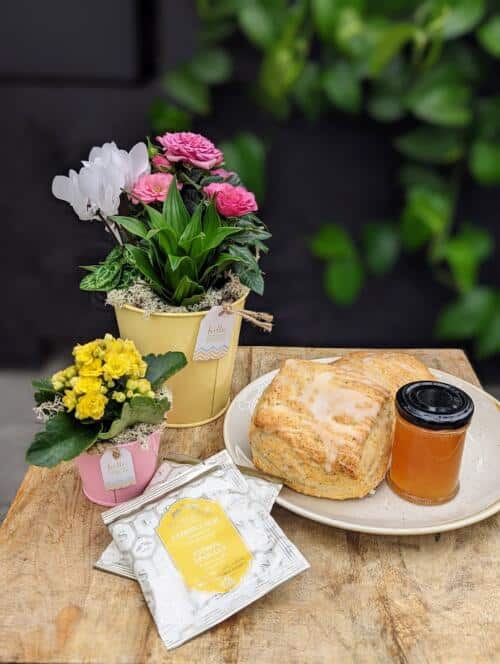 The Watering Can | This kit features 2 planters to be made and comes with 2 sweet scones, 2 tea bags and a pot of jam.