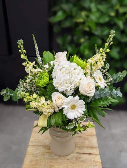 A beige pedestal vase filled with white and green blooms and variegated greenery. Featuring white roses, green mums, white hydrangea, white gerberas and so much more.