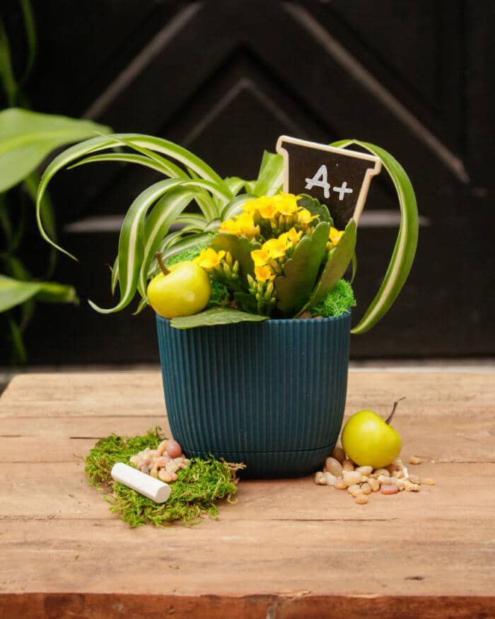 A+ Teacher - DIY - Image 3