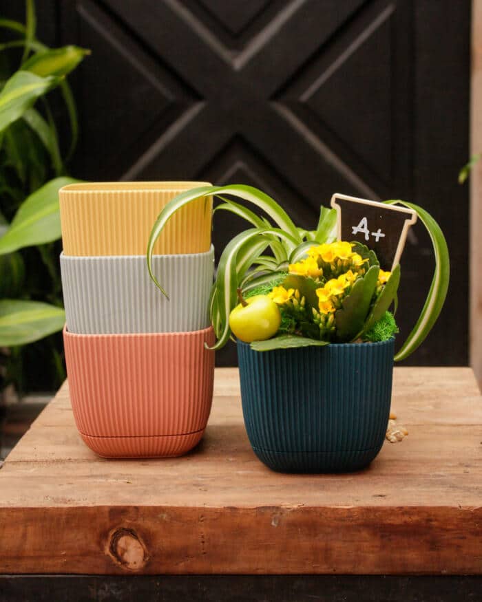 A+ Teacher - DIY - Image 2
