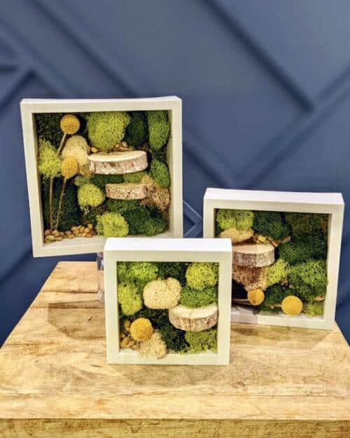 The Watering Can | This kit includes 3 frames, an assortment of mosses, wood slices, craspedia balls and small stones.