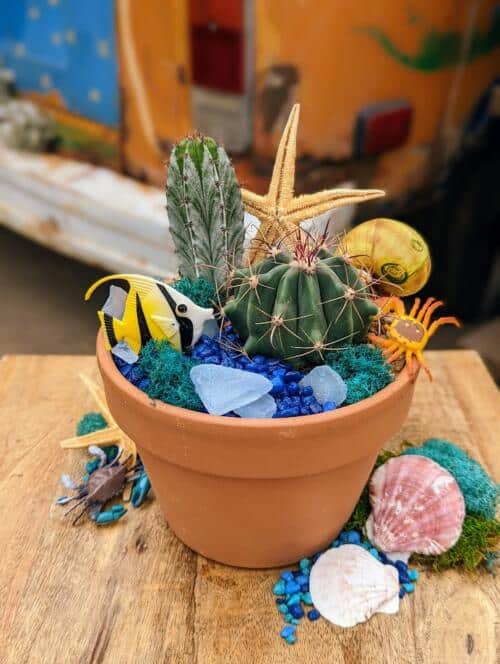 A terracotta container filled with blue stones and cactis adorned with assorted aquatic decor.