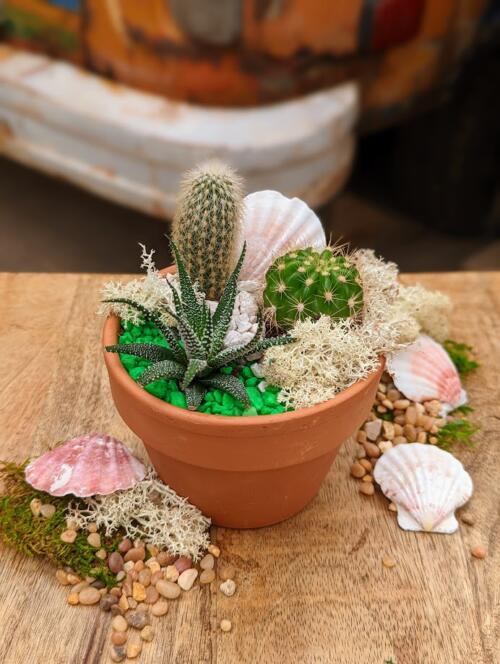 A terracotta container filled with stones and cacti featuring seashells and a variety of moss.