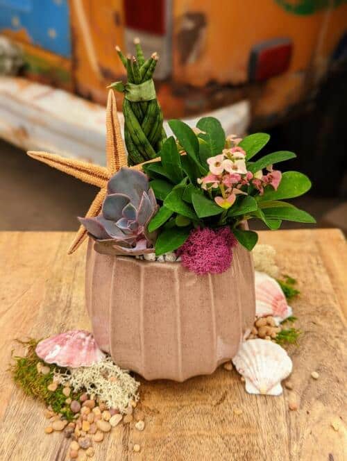 A pale pink ceramic container with a purple succulent, braided snake plant and pink kalanchoe on a bed of pink moss with a dried starfish.