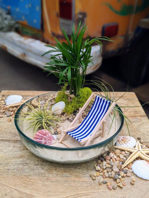 The Watering Can | This kit features a tropical plant, 2 air plants, stones, sand and a cute beach chair in a glass vessel.