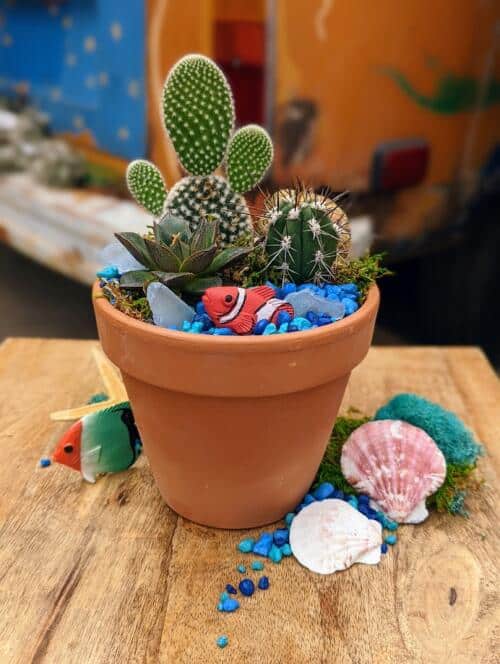 A terracotta planter filled with blue stones and varying cacti and aquatic ornaments.