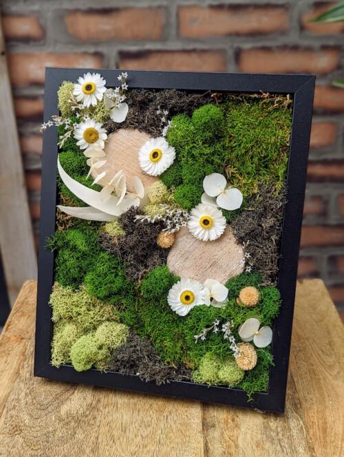 A black frame filled with green mosses, dried mushrooms and white flowers.