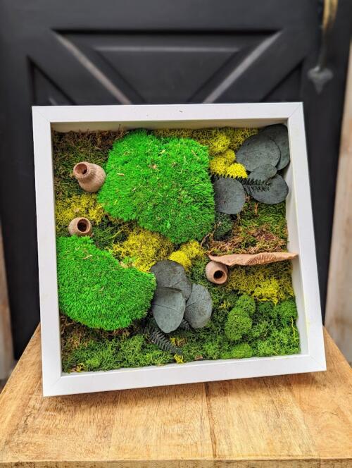 a small white square frame filled with layers of moss and natural elements including dark coin eucalytpus.