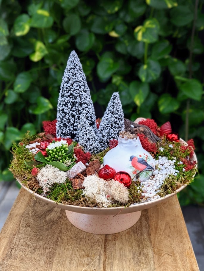 A low beige metal dish on a pedestal filled with festive deco, moss, an amaryliss bulb and a white kalanchoe.