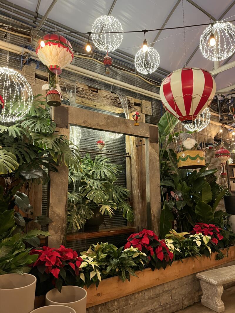 The Watering Can - At Night! | The Watering Can Flower Market