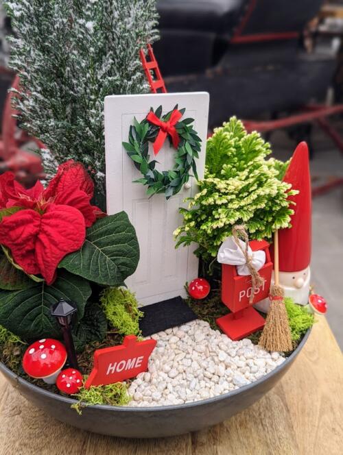 The Watering Can | This kit features 3 festive plants, a gnome and supplies to create your home for your gnome.