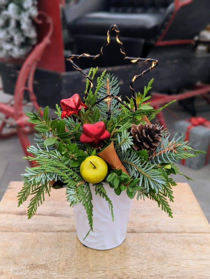 The Watering Can | This kit features a white ceramic pot, seasonal greenery, decorations and a light up star.