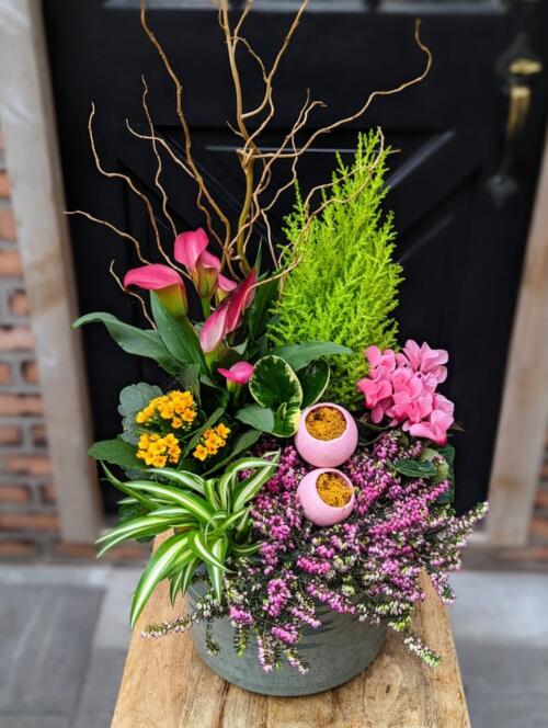 a dark green ceramic filled with pink and green plants accented with a yellow kalanchoe and moss. featuring lemon cypress, pink calla lilies, heather and more,