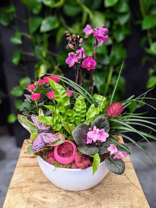 a white round bowl filled with pink and purple pet friendly flowers and plants. featuring a purple multi-stem orchid, pink african violet, fern, pink mini roses, peperomia and more