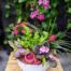 a white round bowl filled with pink and purple pet friendly flowers and plants. featuring a purple multi-stem orchid, pink african violet, fern, pink mini roses, peperomia and more