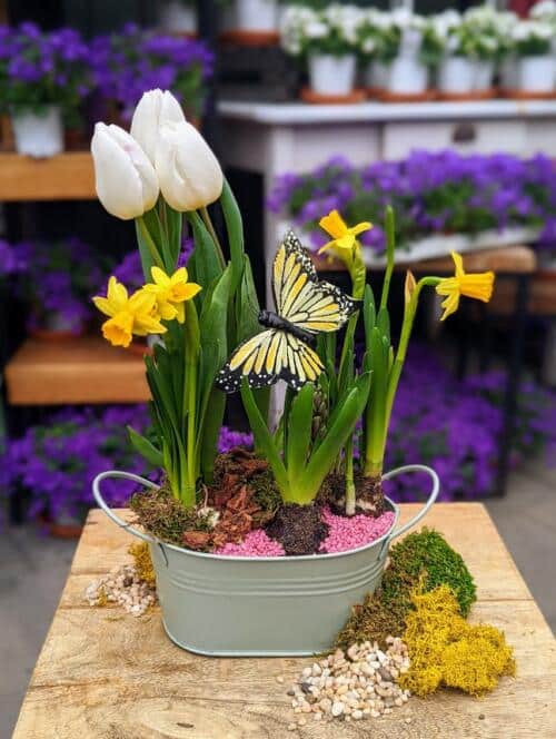 The Watering Can | This DIY includes a tulip, a daffodil and a hyacinth inside of a tin pail accompanied with moss and stones.