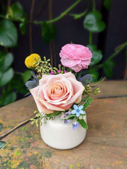 a small off white bud vase filled with pink blue and yellow flowers, featuring a rose, pink ranunculus, yellow craspedia and blue tweedia