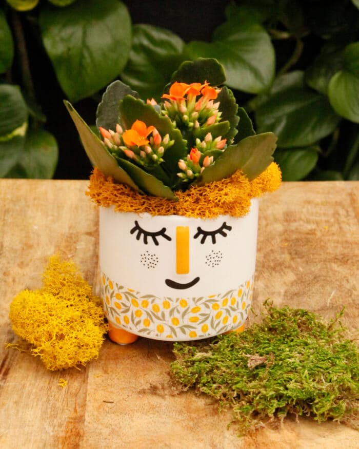 The Watering Can | This kit features a pot that has a bashful face and comes with a kalanchoe and yellow moss.