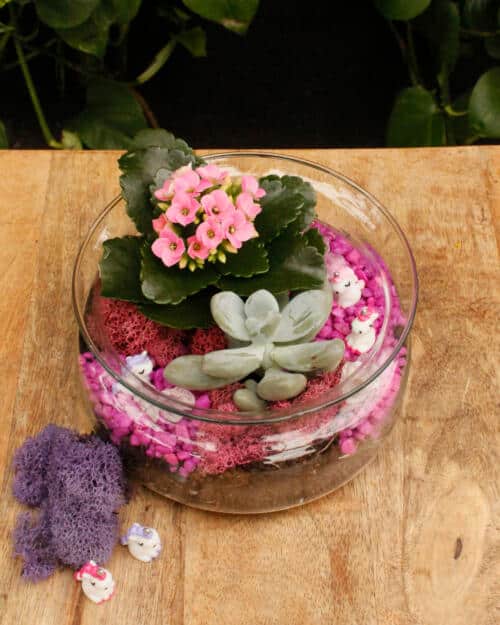 The Watering Can | This kit features a glass container with a succulent, kalanchoe, stones, gems, moss and tiny unicorns.