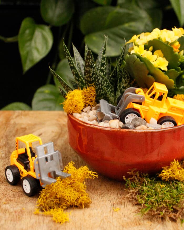 This kit features a ceramic container with a succulent, kalanchoes, stones, moss and your own mini construction vehicle.