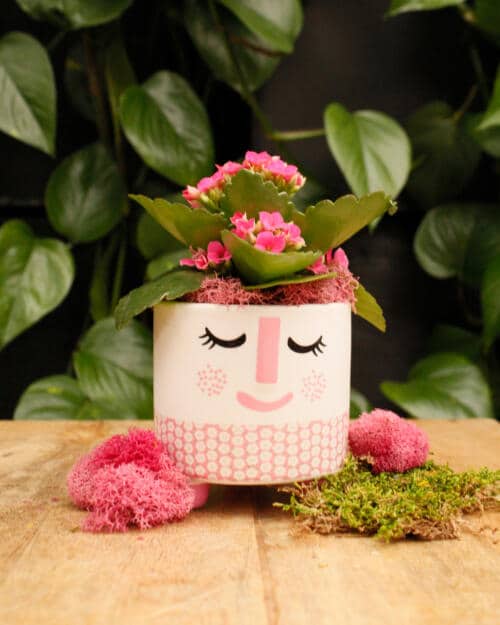 The Watering Can | This kit features a cute pot with a face and pink accents, a kalanchoe and moss.