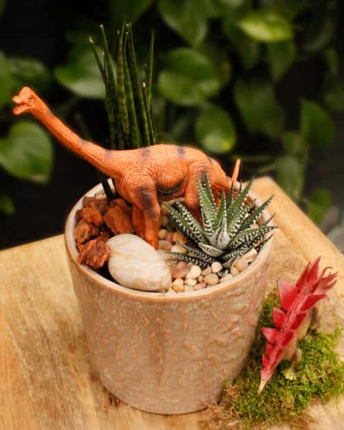 The Watering Can | This kit comes with a ceramic pot, snake plant, a succulent, stones and a fun dinosaur toy.