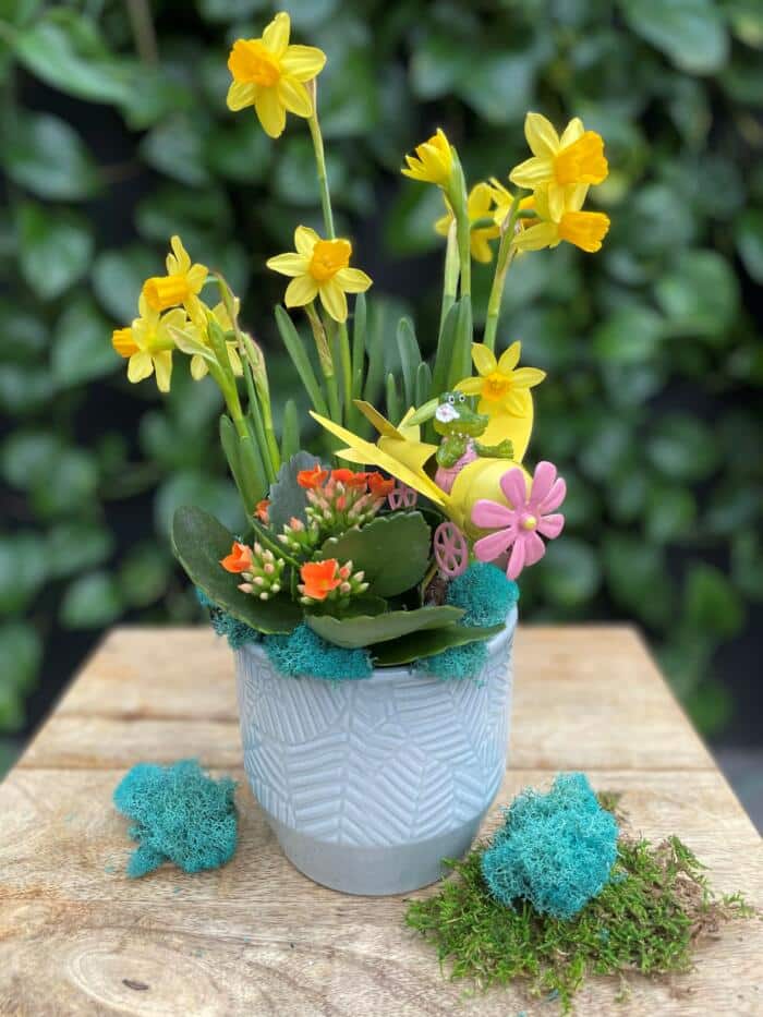 The Watering Can | This kit features a ceramic pot, a daffodil plant, kalanchoe, moss and an alligator flying a plane decoration.