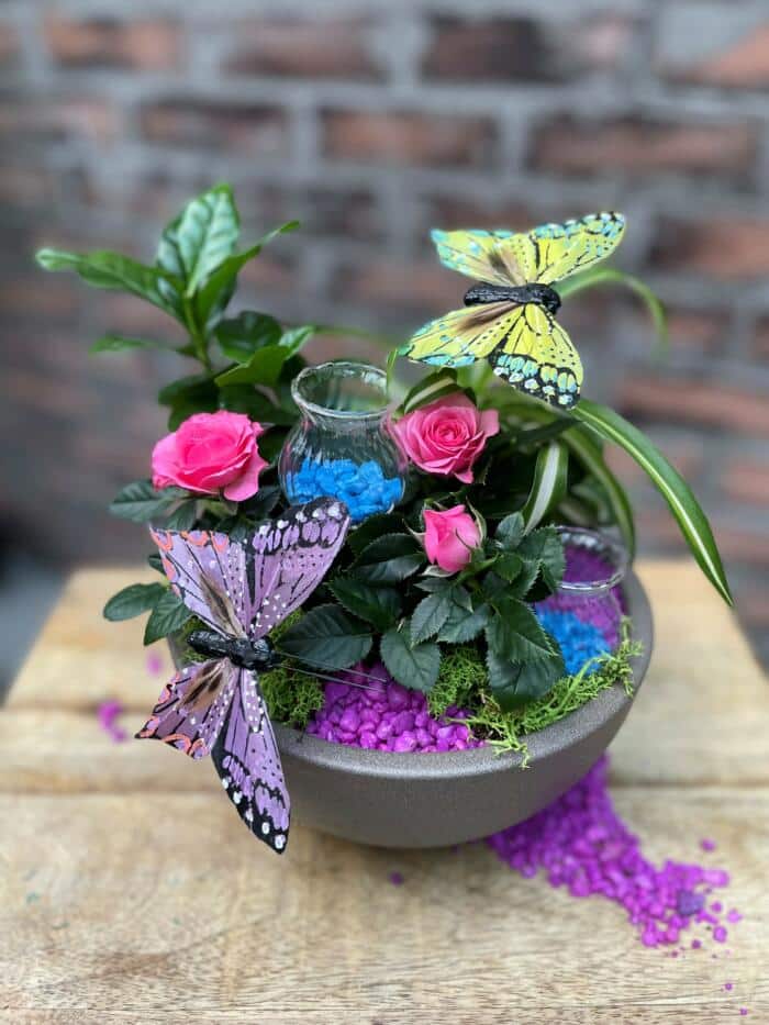 The Watering Can | This kit features a ceramic bowl with tropical plants, mini roses, stones, moss and butterfly decorations.