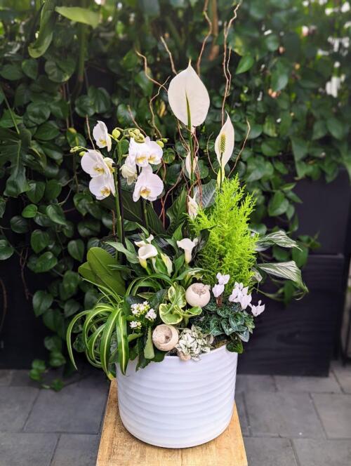 a large white planter filled with nuetral blooming plants and tropicals. featuring a large white orchid, peace lily and more