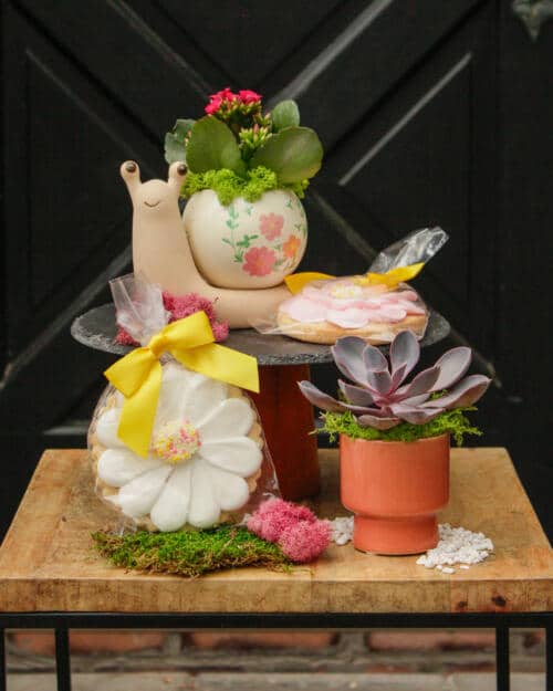 The Watering Can | This kit features a snail shaped ceramic and a mini ceramic, 2 plants and 2 sugar cookies.