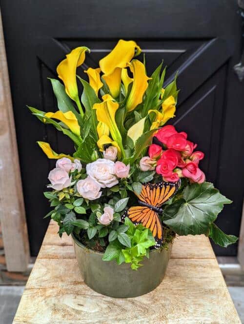 grey round container, yellow calla lily, pink begonia, rosaroma, ivy and orage butterfly