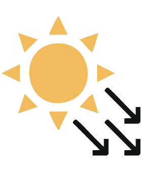 sunlight