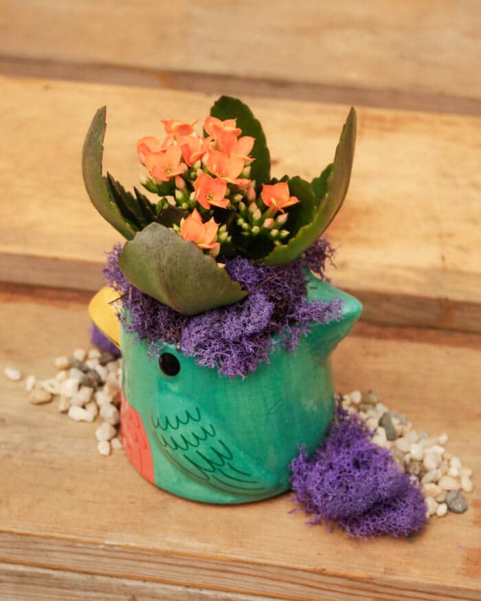 Chirpy Jr. - DIY - Image 2