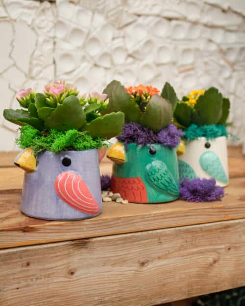 The Watering Can | This kit features a bird ceramic in your choice of 3 colours and comes with a plant, soil and moss.