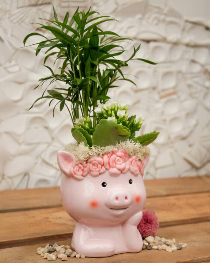 Country Cutie - DIY - Image 4