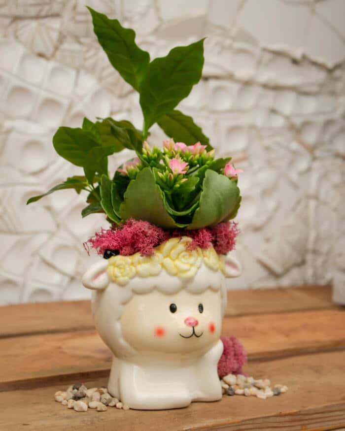 Country Cutie - DIY - Image 3
